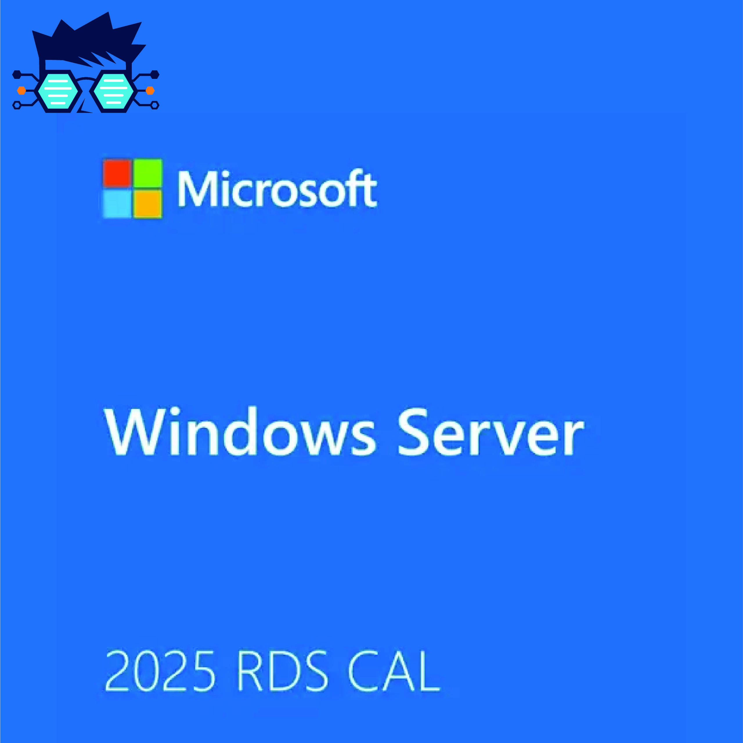 Asset 47 Microsoft Windows Server 2025 Remote Desktop Services - 1 Device CAL (CSP Perpetual) - Image 1
