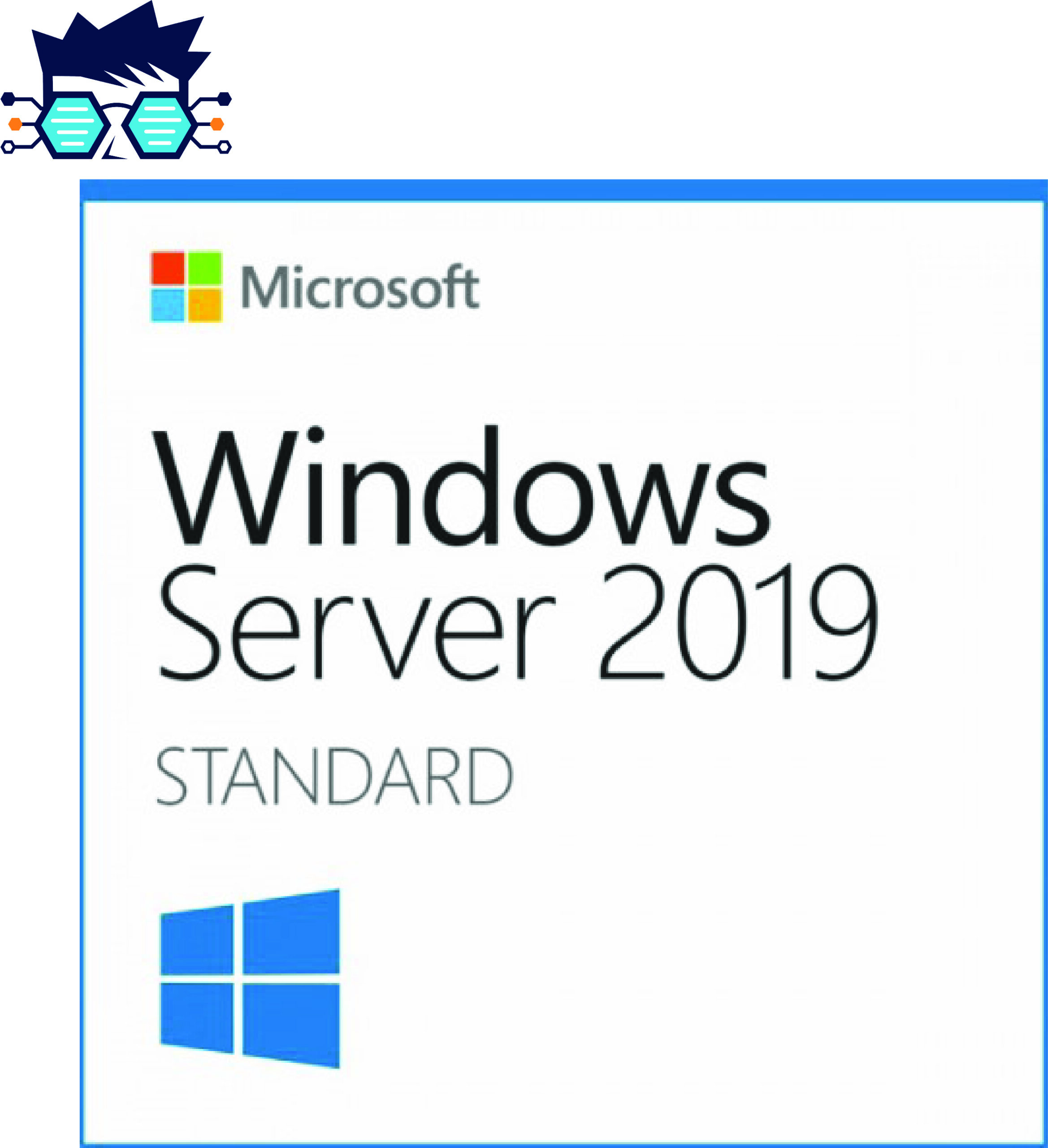 Asset 53 Microsoft Windows Server 2019 Standard OEI DVD - Image 1